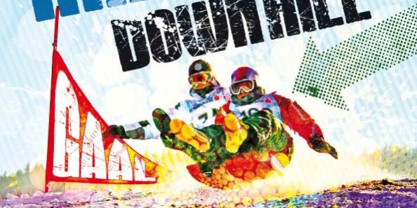 Zipfybob Downhill Gaal 2014