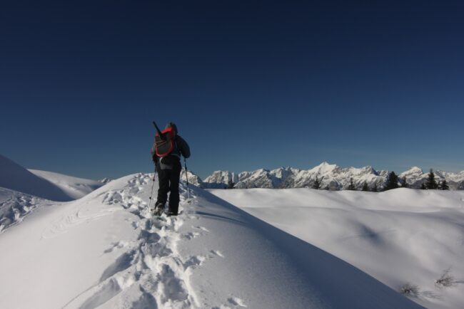 Schnee Tour mit mini bob Schneetour mit Zipfelbob