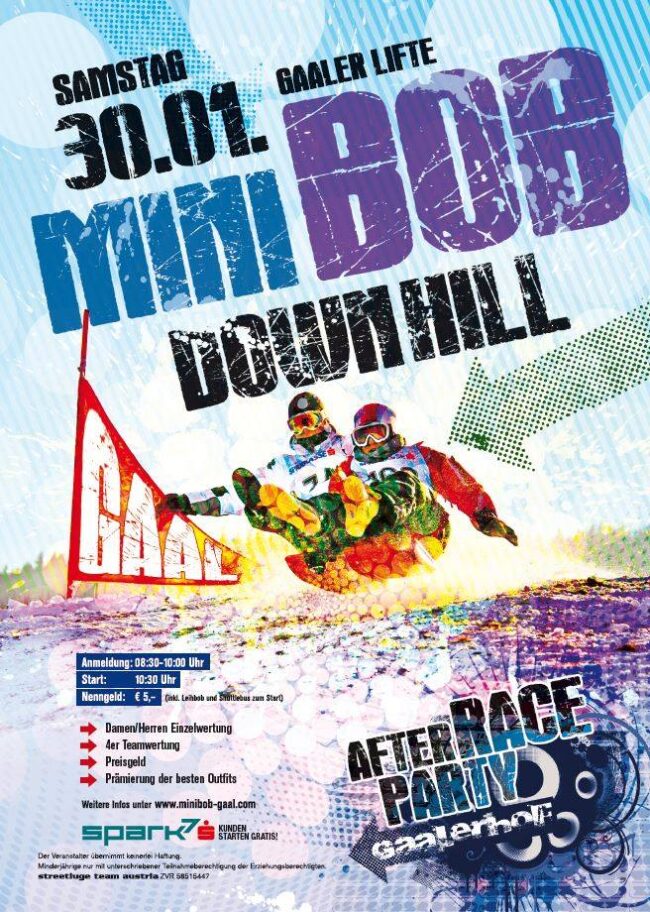 Zipfelbob minibob downhill gaal 2016 Zipfybob Downhill Gaal 2016