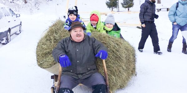 traditioneller Hornschlitten