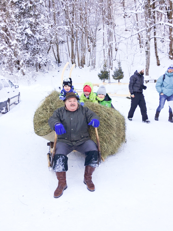 Hornschlitten Garmisch-Partenkirchen traditioneller Hornschlitten